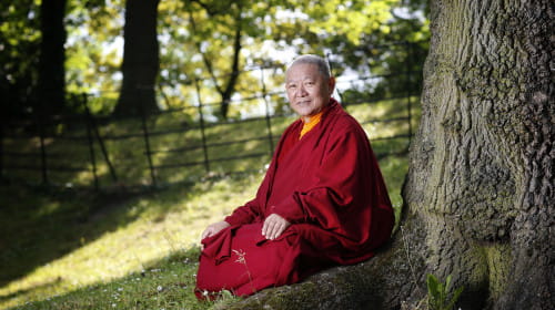 What will Buddhism look like in 30 years?  7 July, 19.30-21.00