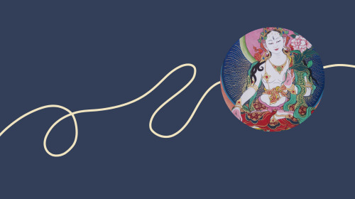 Elizabeth Mattis Namgyel on practicing Vajrayana with an open heart