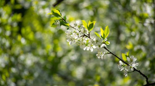 When the moment of death dawns