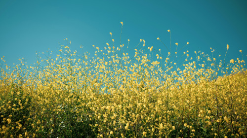 Guided reflection: Just like me