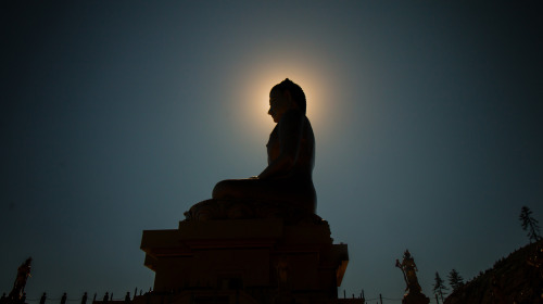 The long term vision of karma