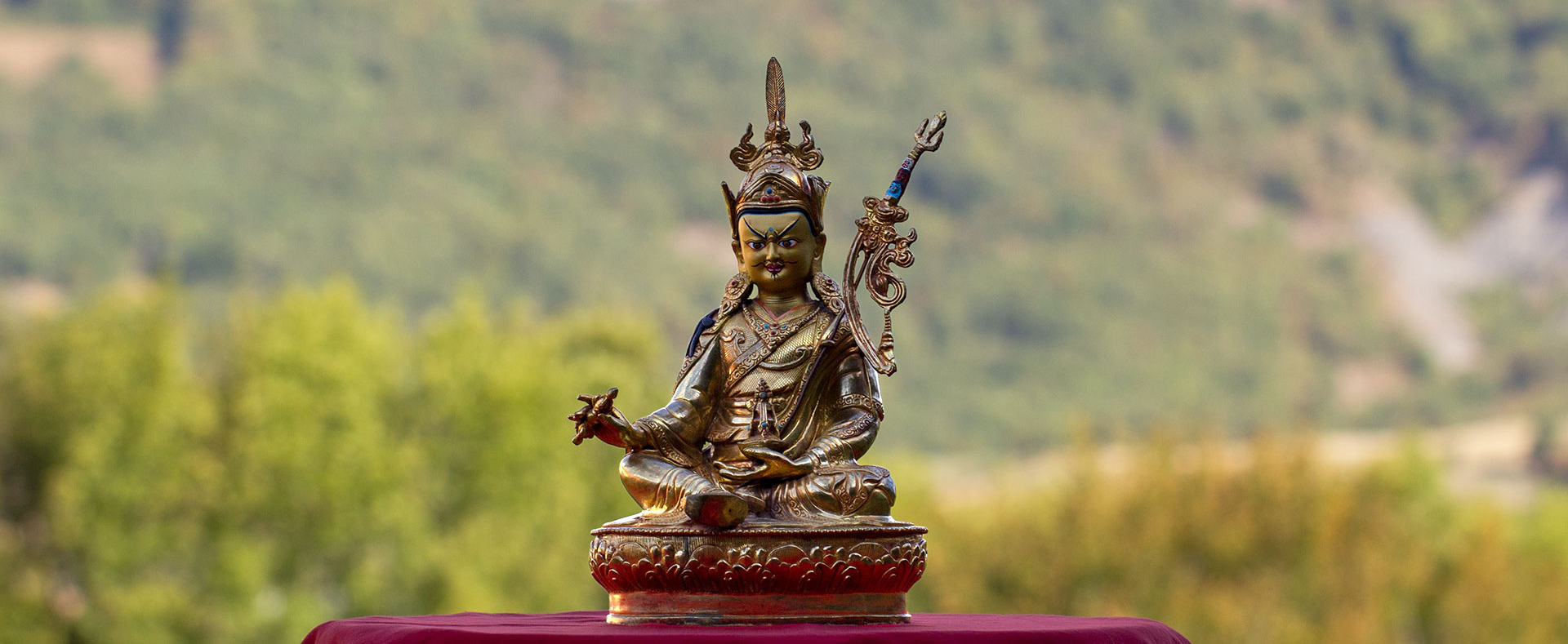Live Sangha Day: Living freely - The quiet power of boundless joy